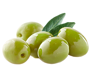 Olive Leaf extract